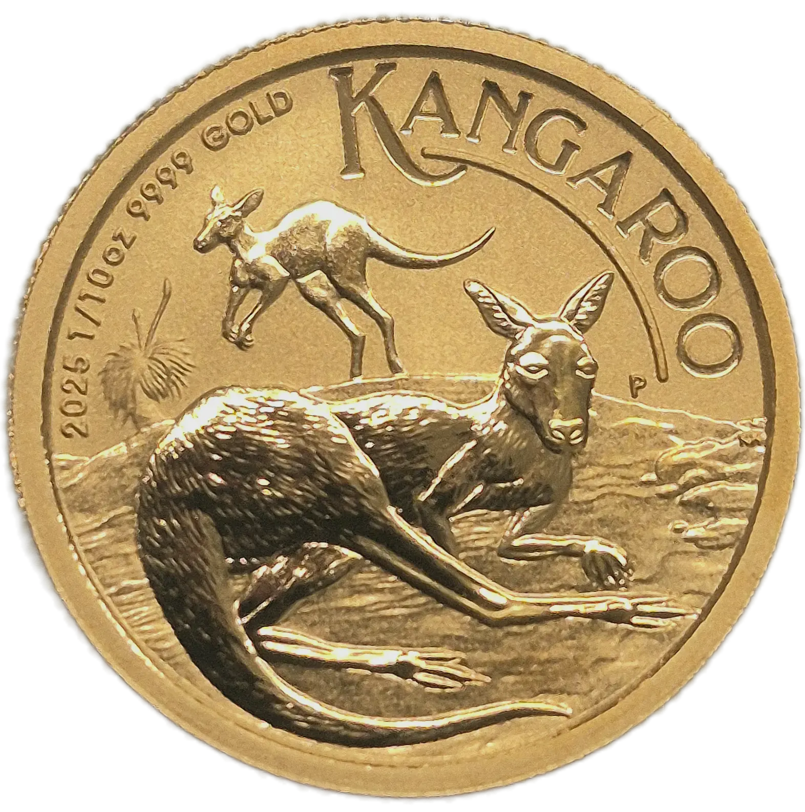 Gold 1/10oz Kangaroo Coin 