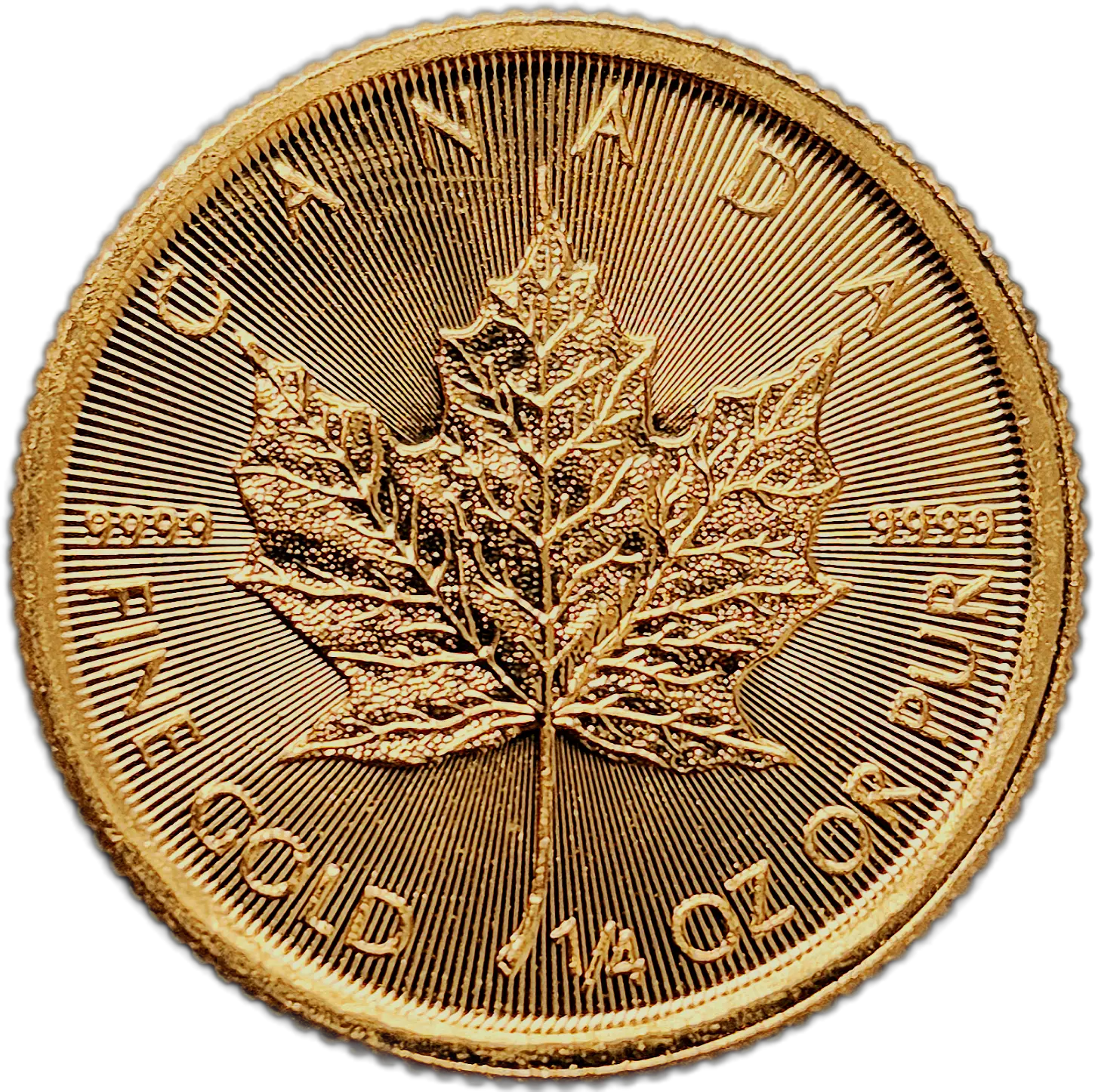 Gold 1/4oz Maple Leaf Coin